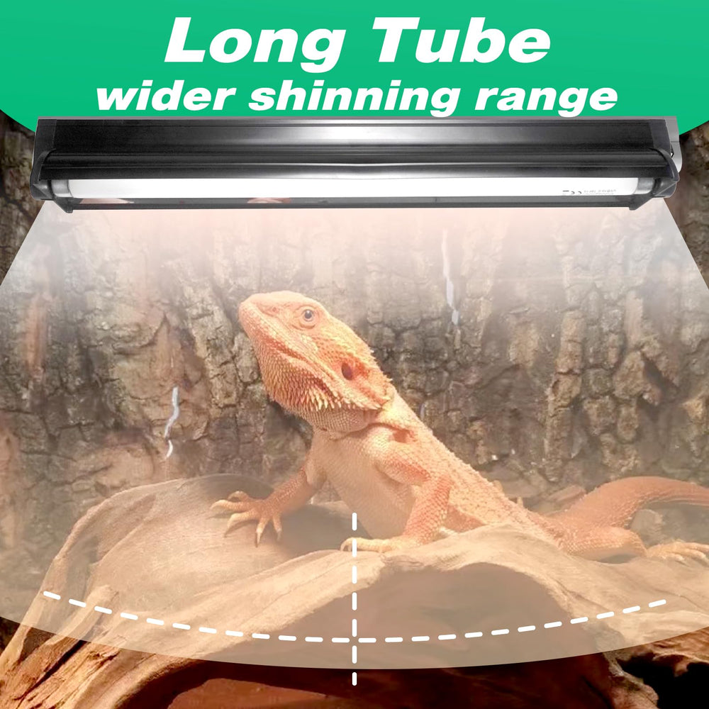 Hypool T8 Strip UVB in bearded dragon enclosure for visible UVB exposure.