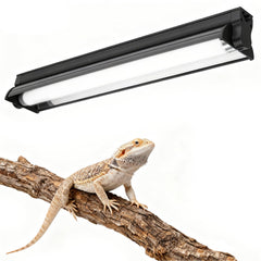 Hypool T8 Strip UVB Light installed on tank top supports healthy calcium uptake.