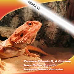 Hypool UVB reptile light 2-pack packaging emphasizes value and convenience.