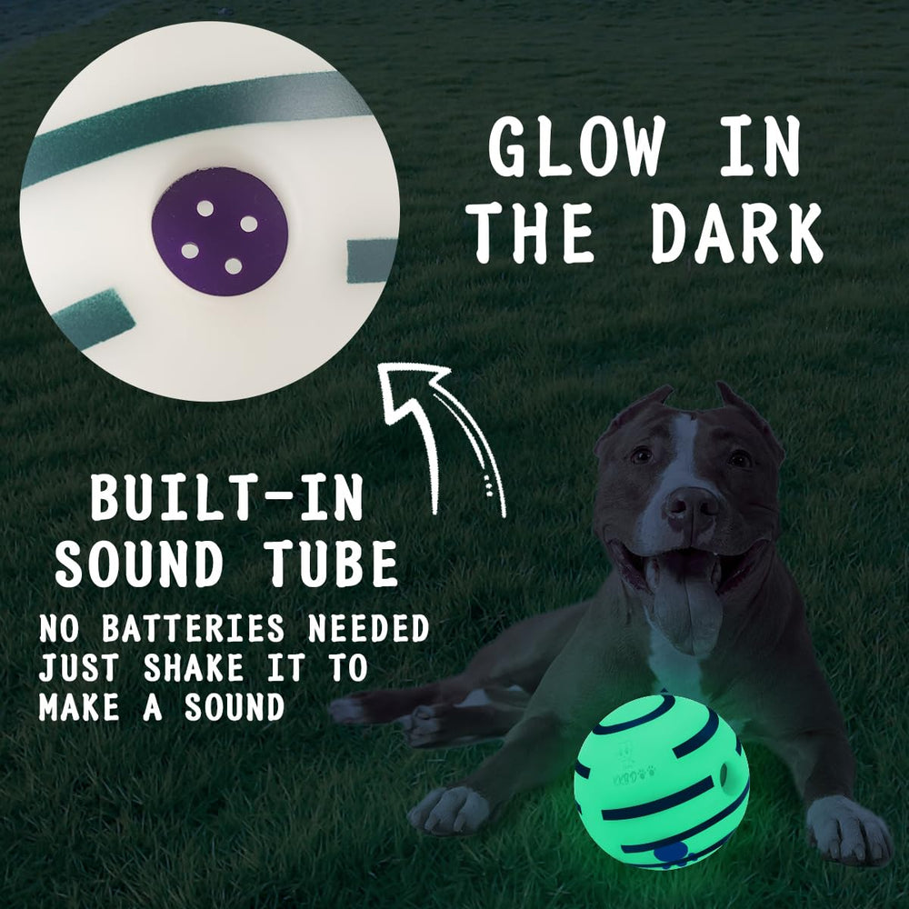 HYQ glowing ball side view highlights interactive play and curiosity.