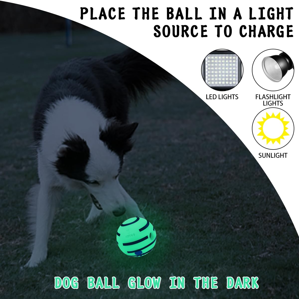 HYQ glowing ball small size fits tiny dogs and puppies for play.