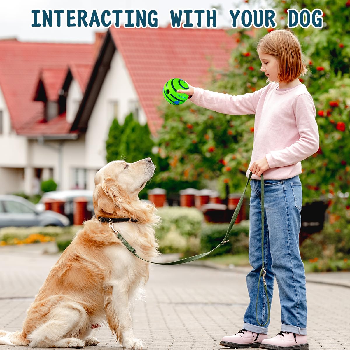 HYQ Interactive Ball close-up shows durable, non-toxic vinyl for safe chewing.