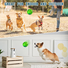 HYQ Interactive Ball small size 2-75inch close-up—ideal for small dogs.