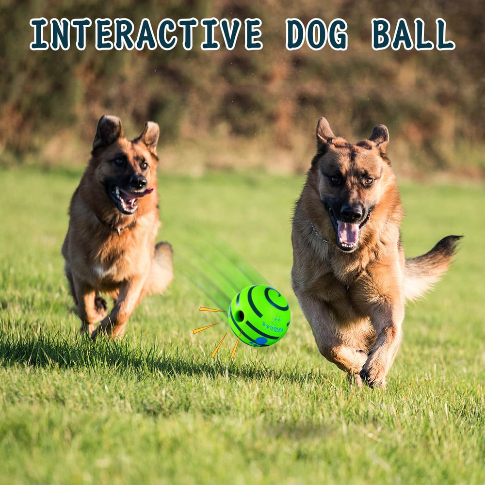 HYQ Interactive Ball showcases three sizes to fit small, medium, and large dogs.