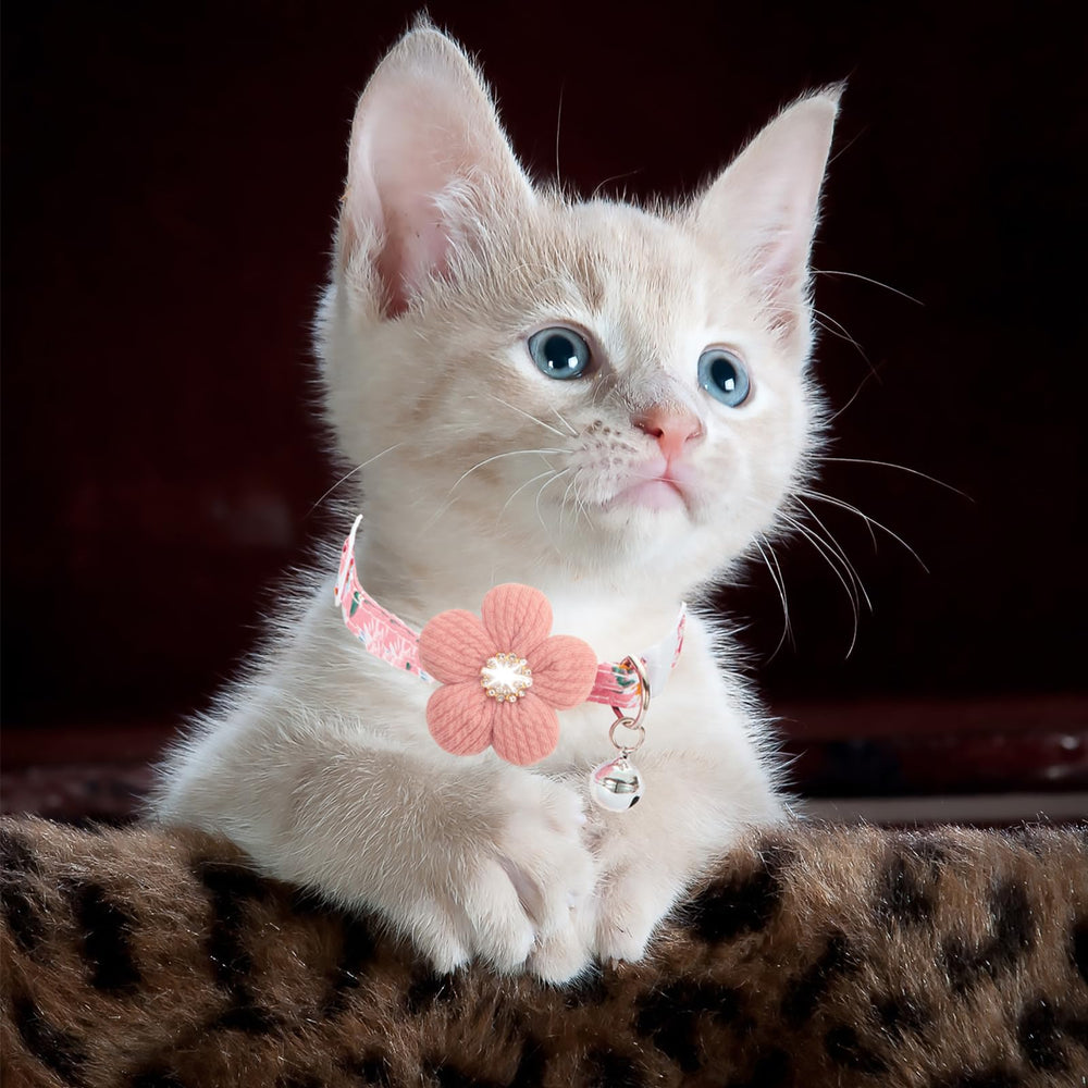 HYQHYX floral collar suited for weddings, parties, and everyday pet adventures.