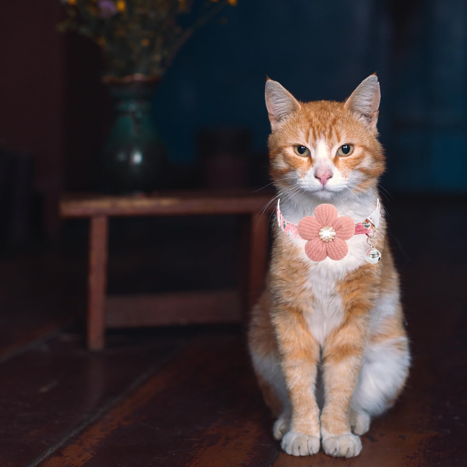HYQHYX floral collar shown on a cat for daily use.
