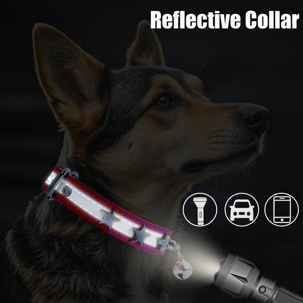HYQHYX Reflective Collar adjustable-buckle ensures a secure fit