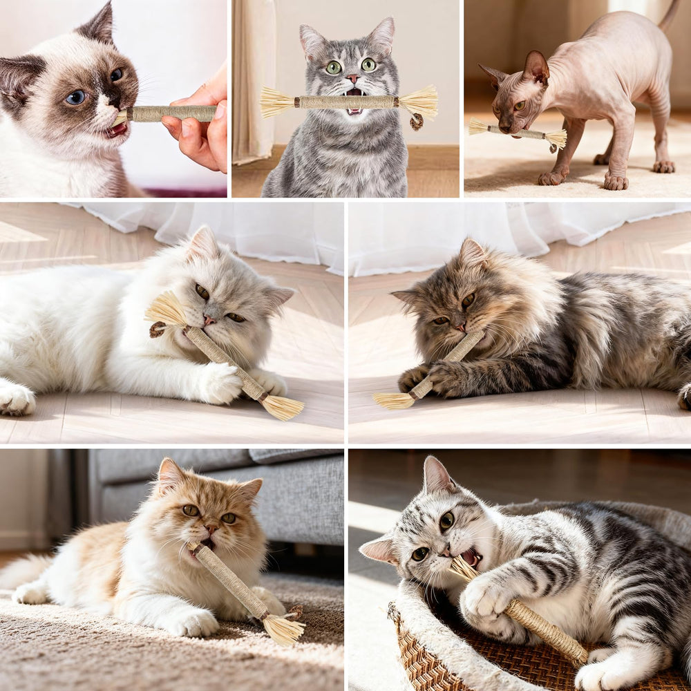 HYSDBAGS 5-pack packaging – convenient selection for rotating indoor cat toys.