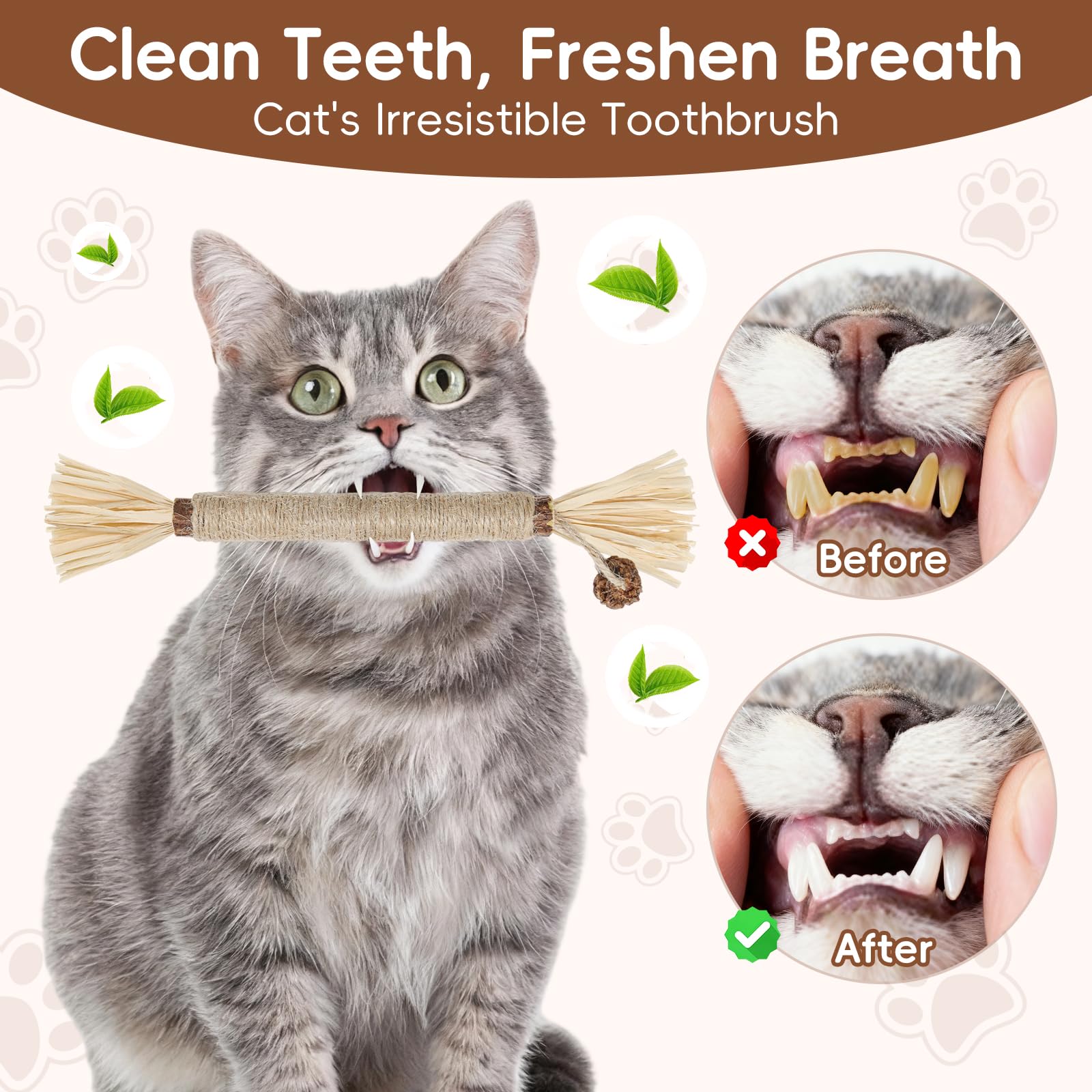 HYSDBAGS catmint enriched sticks – kitten-friendly teething and exploration toy.