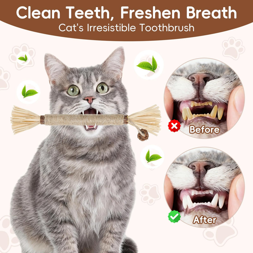 HYSDBAGS catmint enriched sticks – kitten-friendly teething and exploration toy.