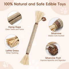 HYSDBAGS silvervine sticks sniff-chew closeup – cat explores natural aroma and texture.