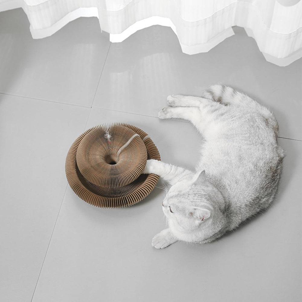 HYuMCCyhT foldable accordion scratcher demonstrates versatile shapes for lounging or scratching.