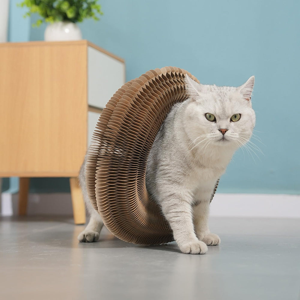 HYuMCCyhT mesh-design cat scratcher emphasizes tough bonding and long-lasting texture.