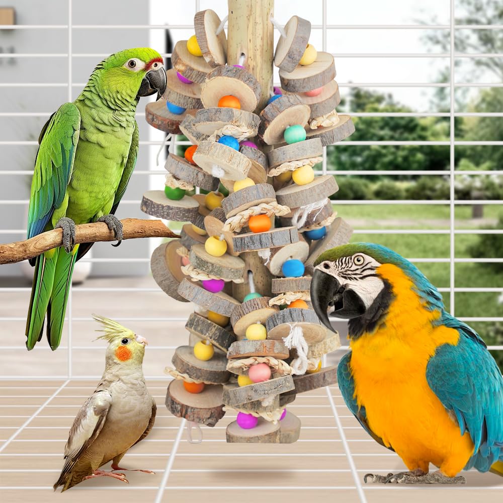 HZDZ LCPAW beak-safe wooden chew uses natural textures to satisfy foraging instincts.