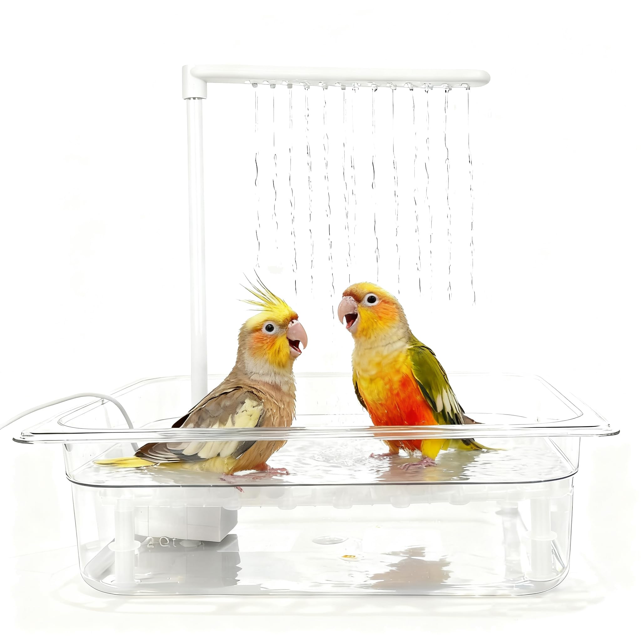 HZDZ LCPAW bird bath tub with USB pump creates a quiet continuous fountain for visiting birds.