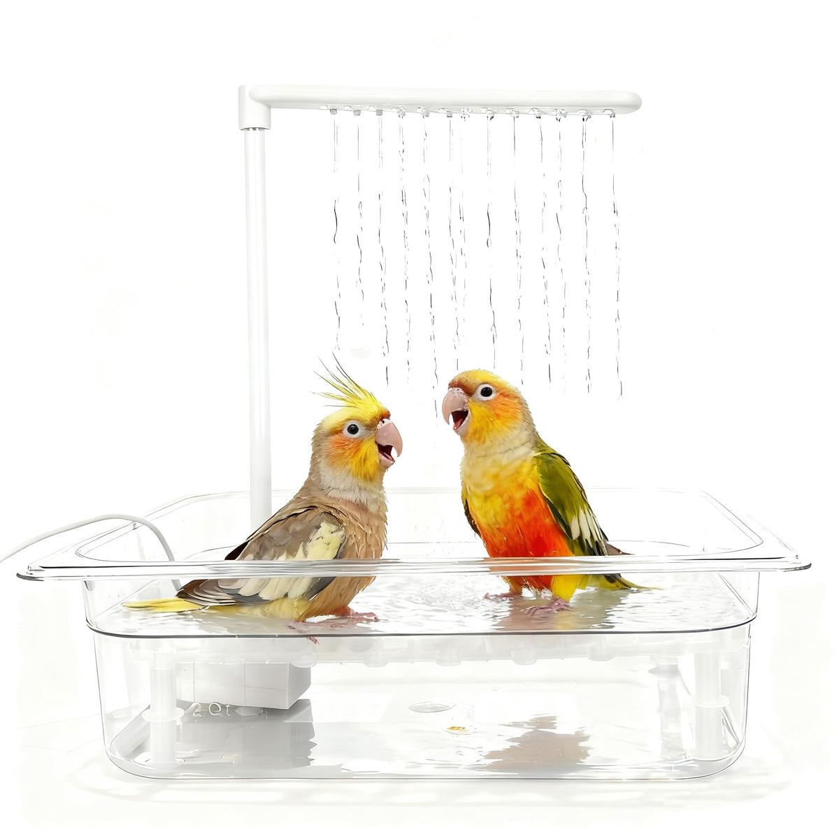 HZDZ LCPAW bird bath tub with USB pump creates a quiet continuous fountain for visiting birds.