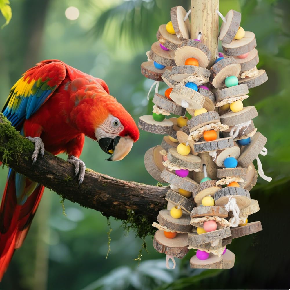 HZDZ LCPAW extra-large parrot toys fit large species and support extended play sessions.