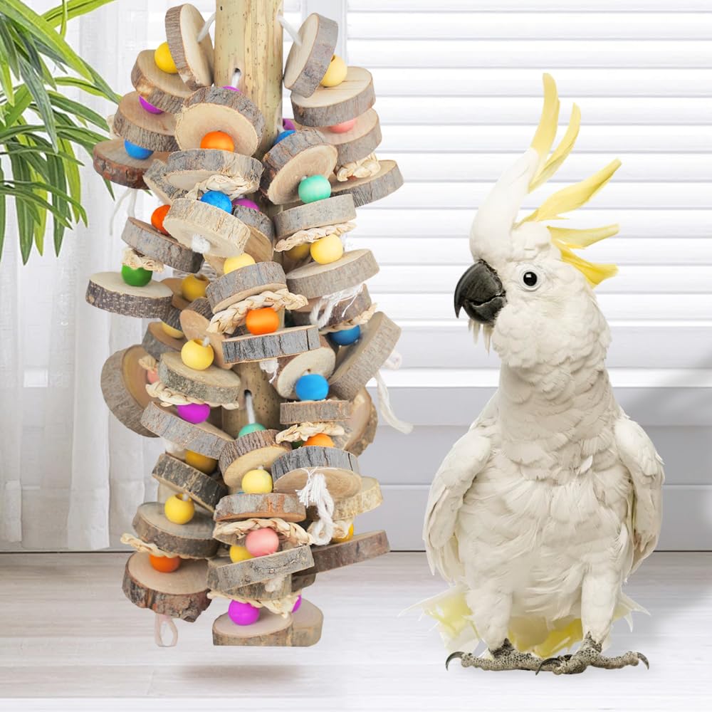 HZDZ LCPAW foraging activity toys engage birds with puzzle-like textures and exploration.