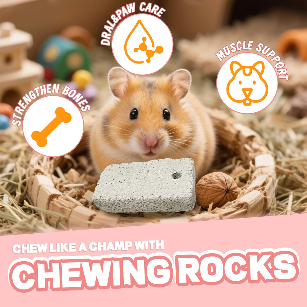 HZJPIN lava bites in use as small pet grinds teeth and satisfies chewing urge.