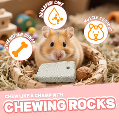 HZJPIN lava bites in use as small pet grinds teeth and satisfies chewing urge.