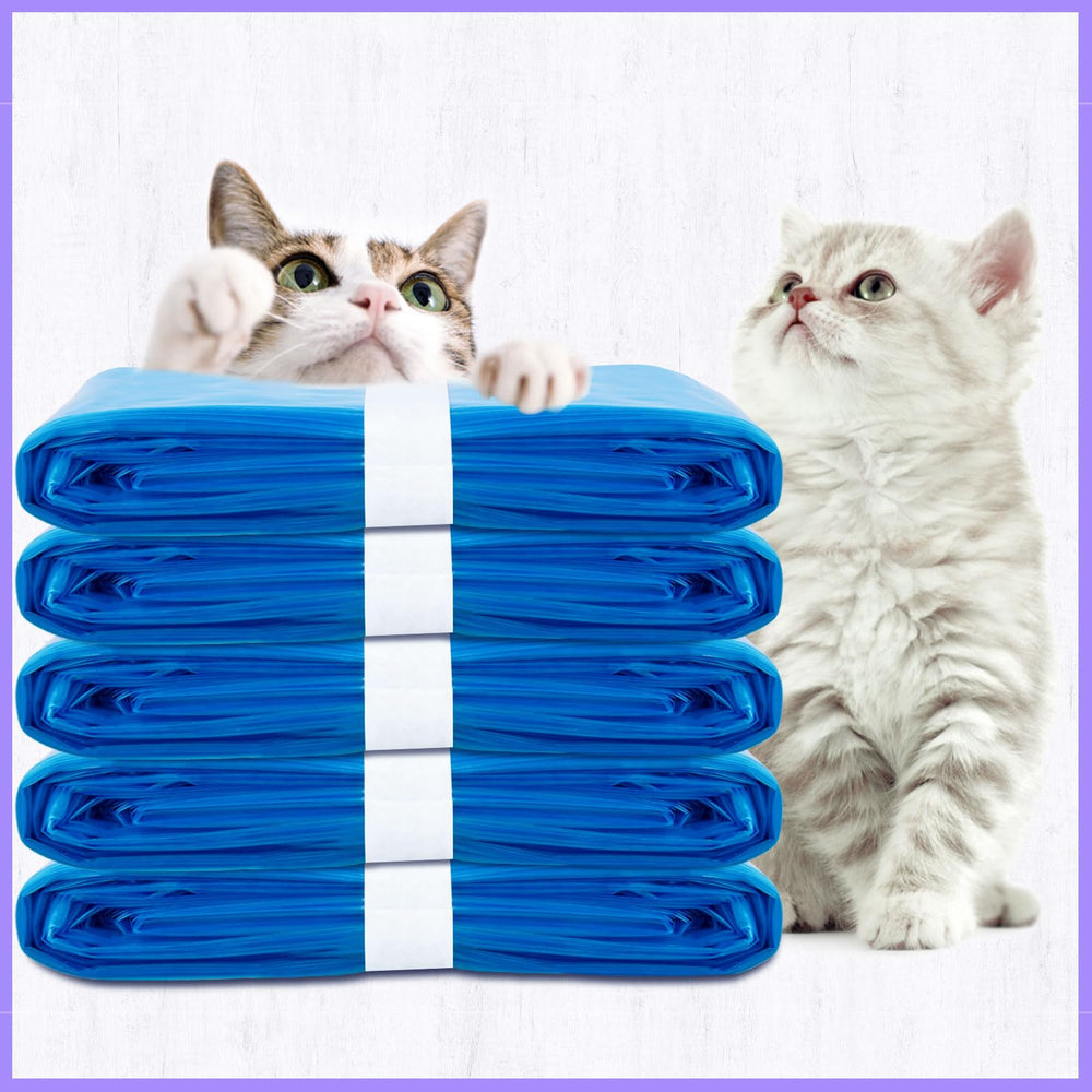 HzTinT 1-year warranty and support promise reliable post-purchase help.