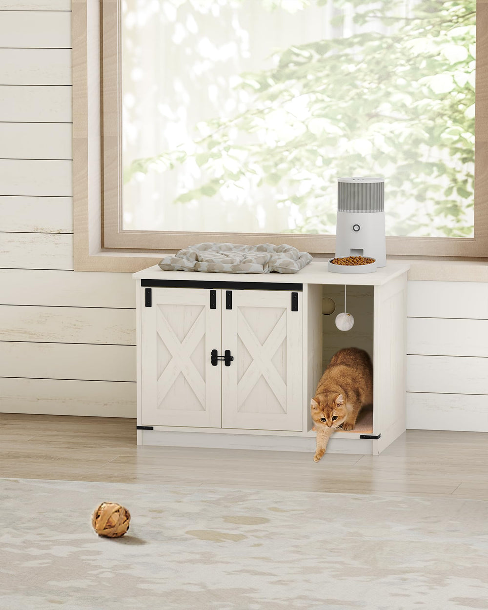 Hzuaneri carpet-inside feature photo focusing on litter control