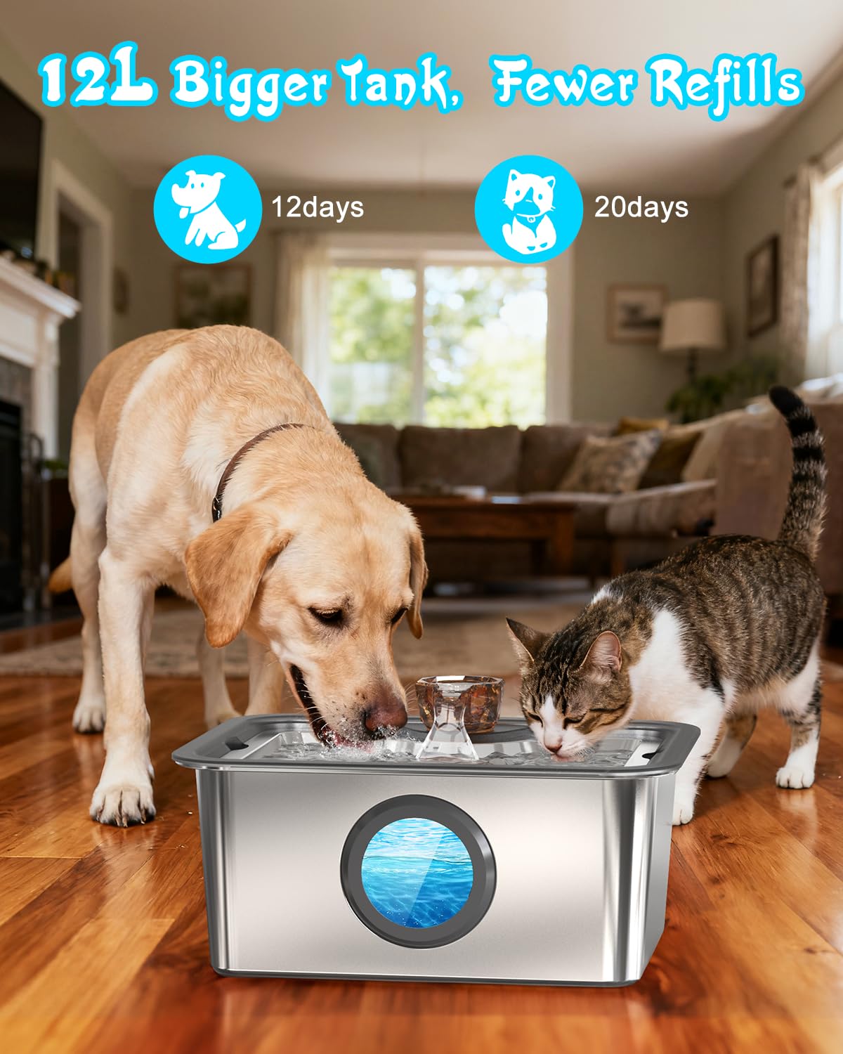 IAD easy-tool-free assembly for quick setup by busy pet parents.
