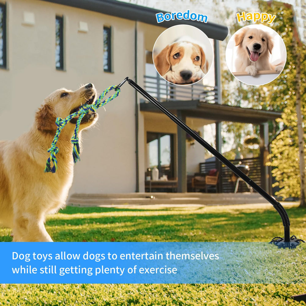 IAIGOGO adjustable-height spring pole fits dogs of different sizes.