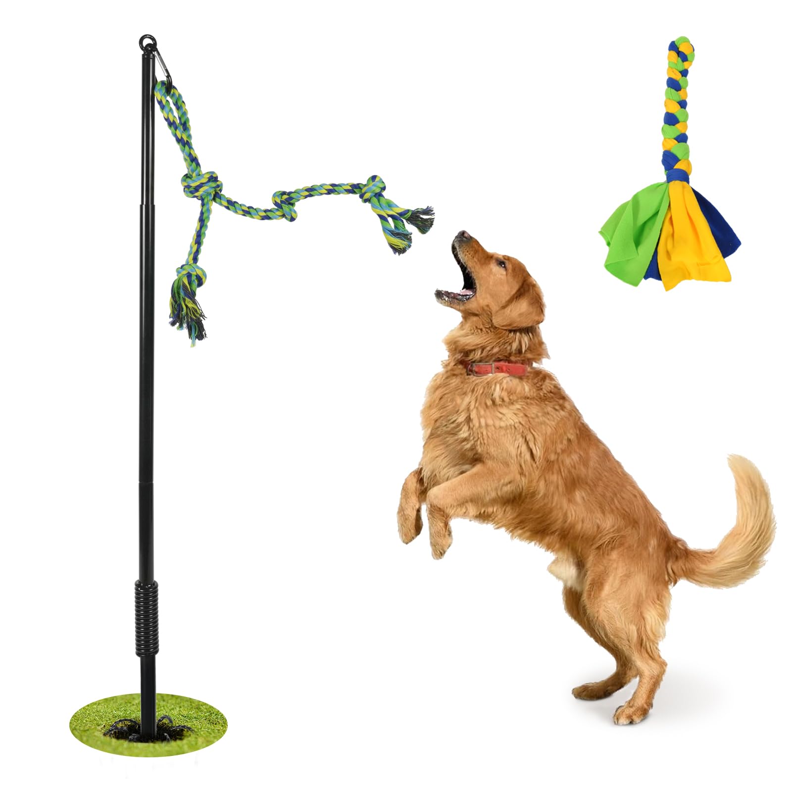 IAIGOGO outdoor dog toy in action with a playful pull-chase session.