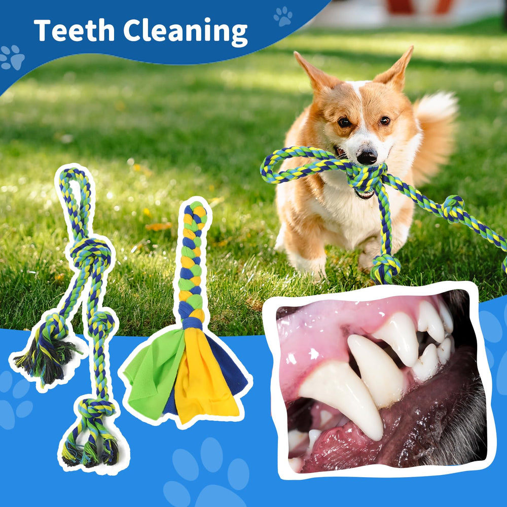 IAIGOGO yard-play setup keeps dogs active in parks or lawns.