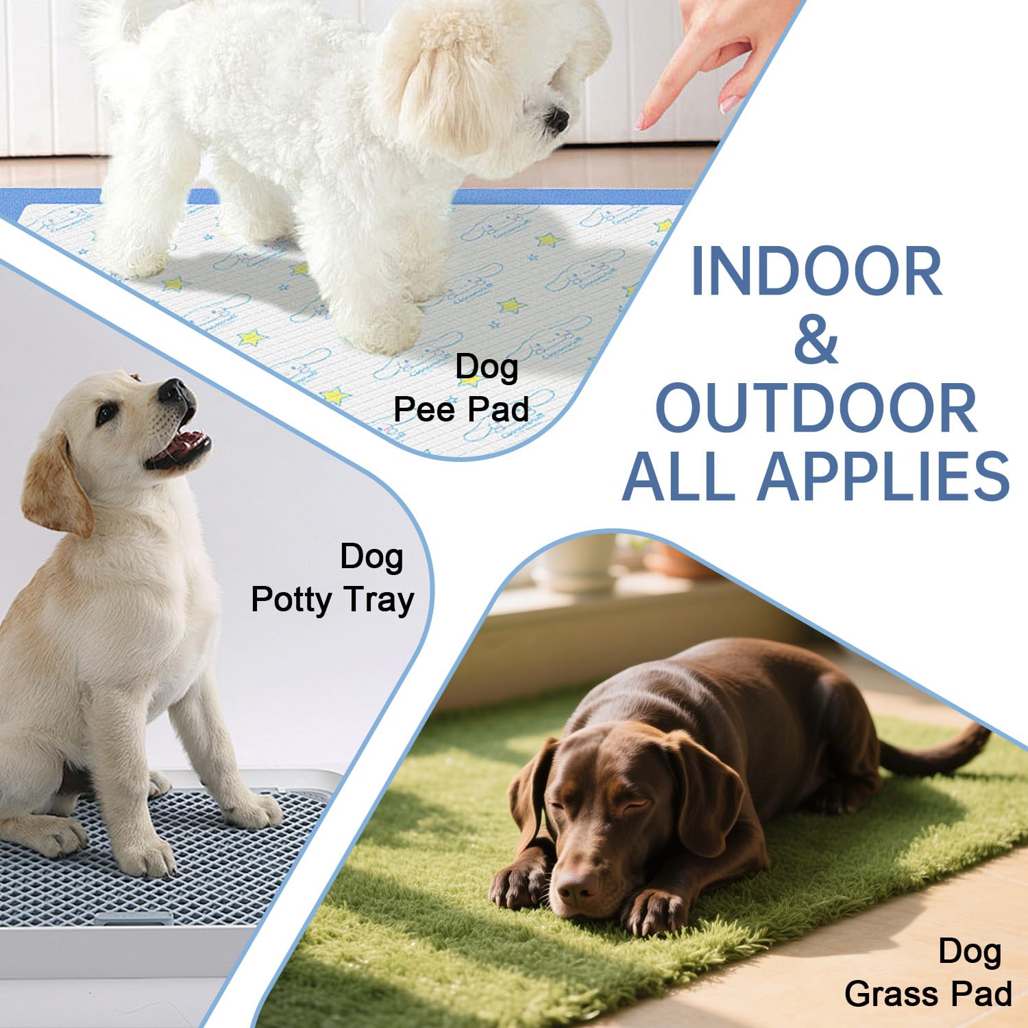 iALTERLL Potty Training Spray indoor-outdoor-use demonstrates versatile potty cue guidance.
