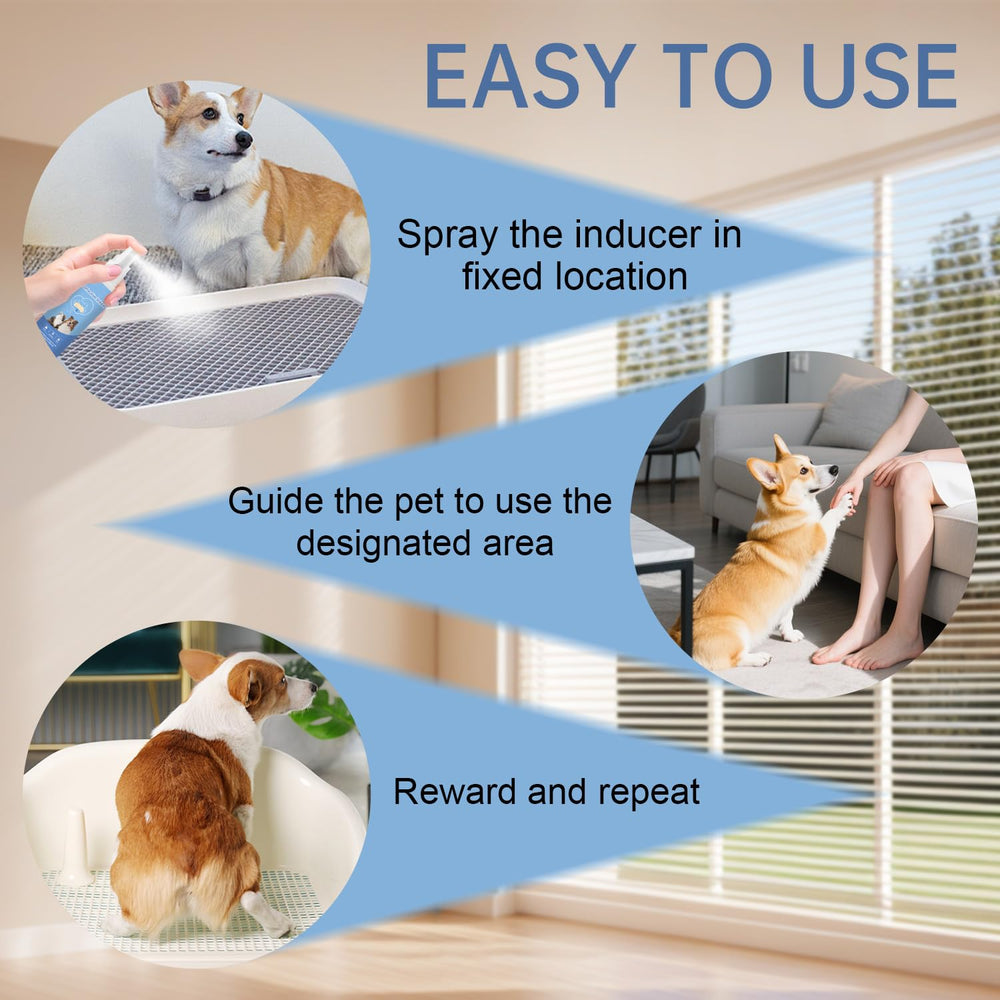 iALTERLL Potty Training Spray kennel-application highlights portable, on-the-go potty guidance.