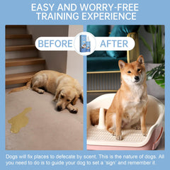 iALTERLL Potty Training Spray puppy-pad use shows guiding puppies to toileting spots.