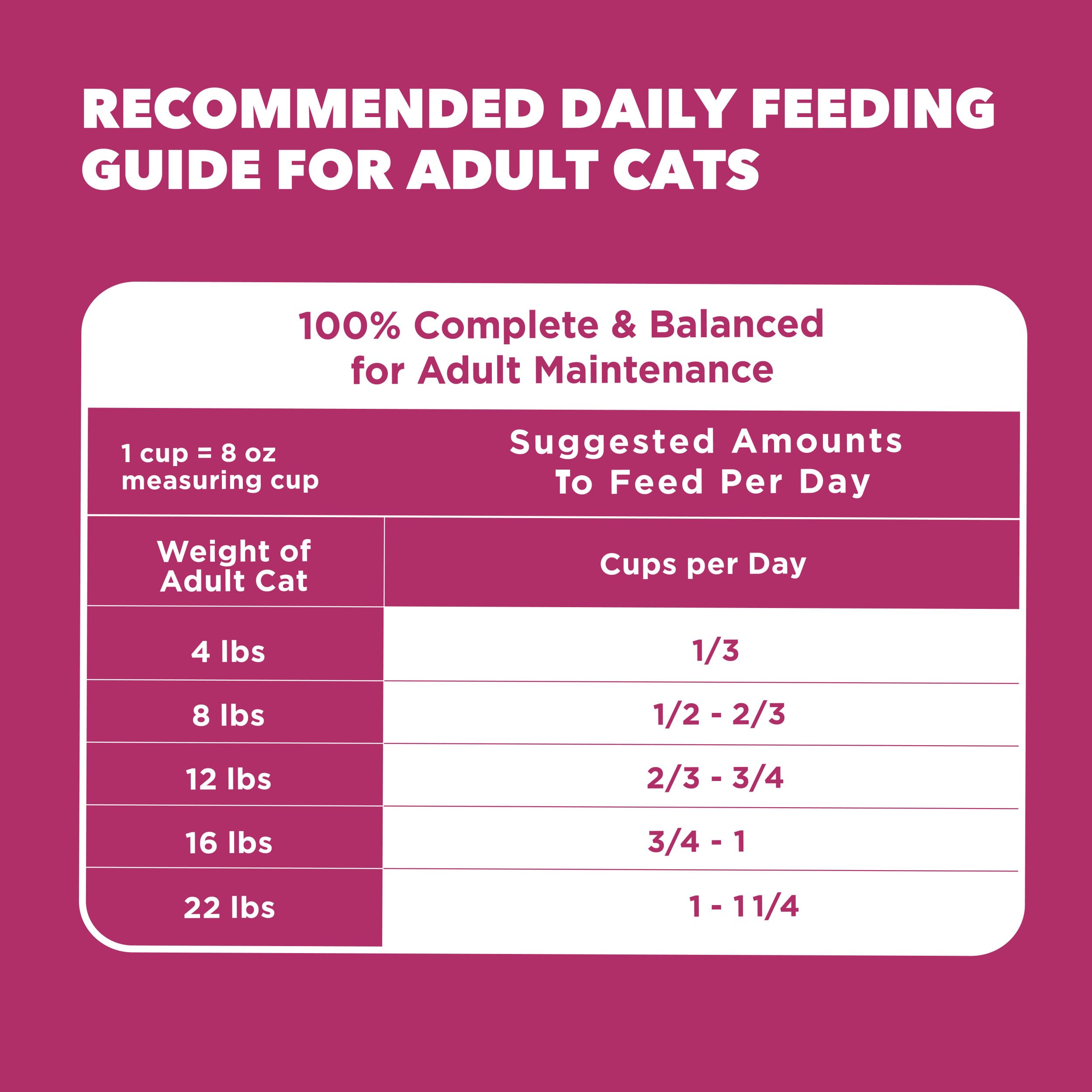 IAMS Proactive Health adult cat kibble in bowl during mealtime