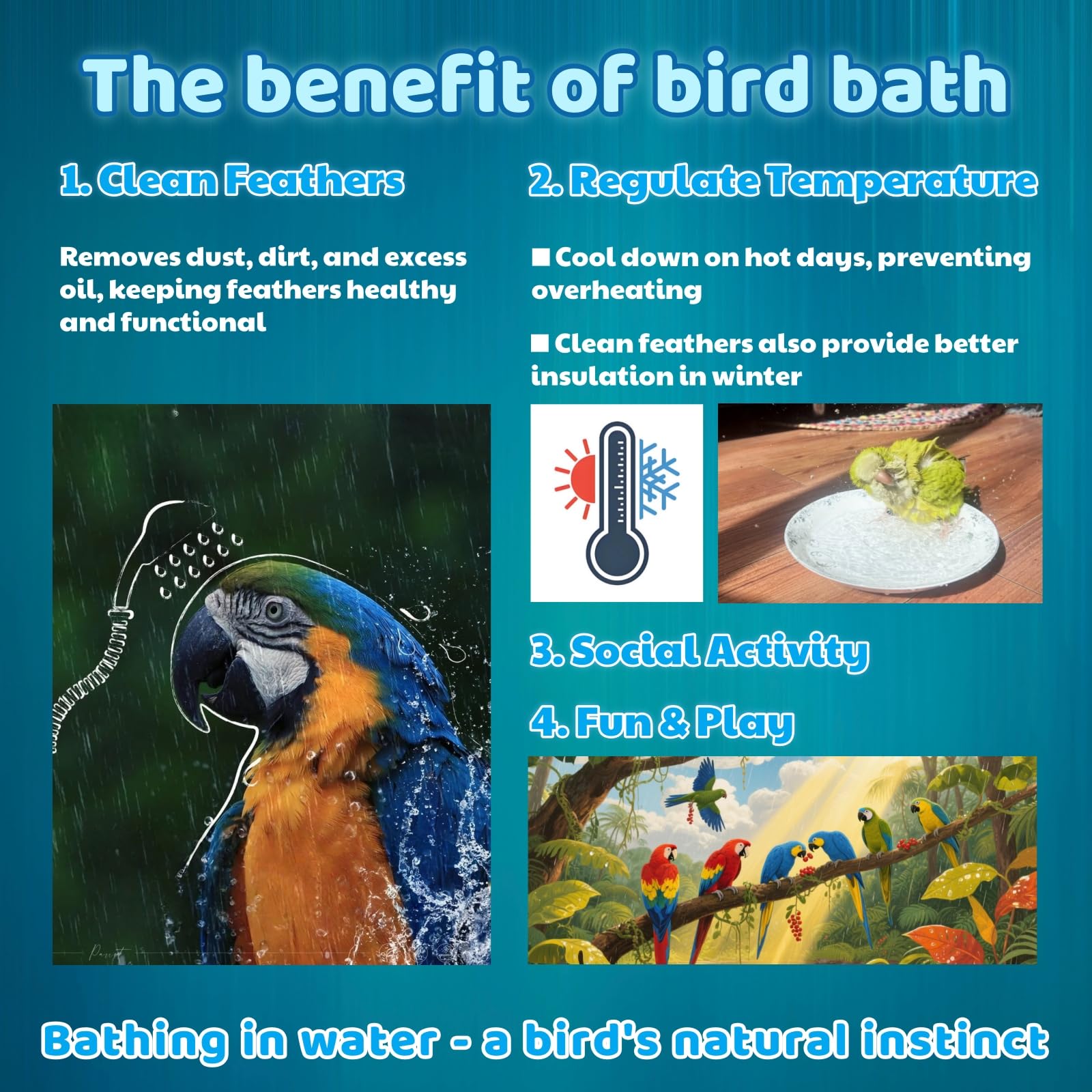 ianjetty parakeet-bath rotating-perch keeps water contained during play