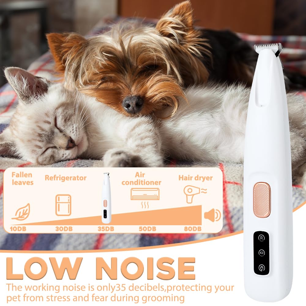 Iaolose Paw Trimmer cleaning-kit contents, including brush and oil, for hygiene.