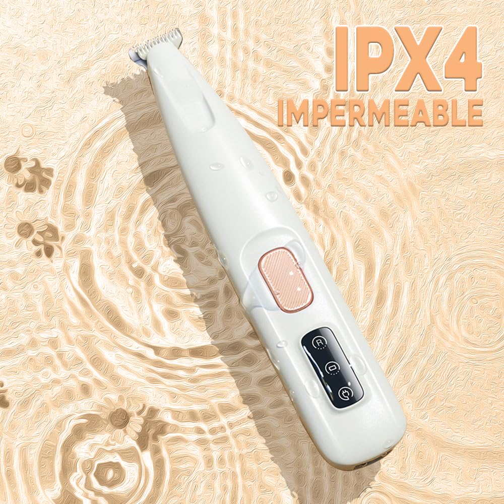 Iaolose Paw Trimmer dog-paw-trimmed image, showing neat paw fur trimming.