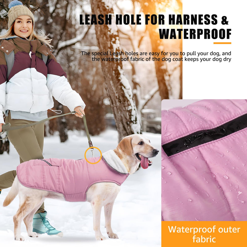 iBuddy dog winter jacket adjustable chest and belly straps ensure secure wear