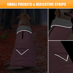 iBuddy dog winter jacket reflective stripes improve visibility during dusk walks