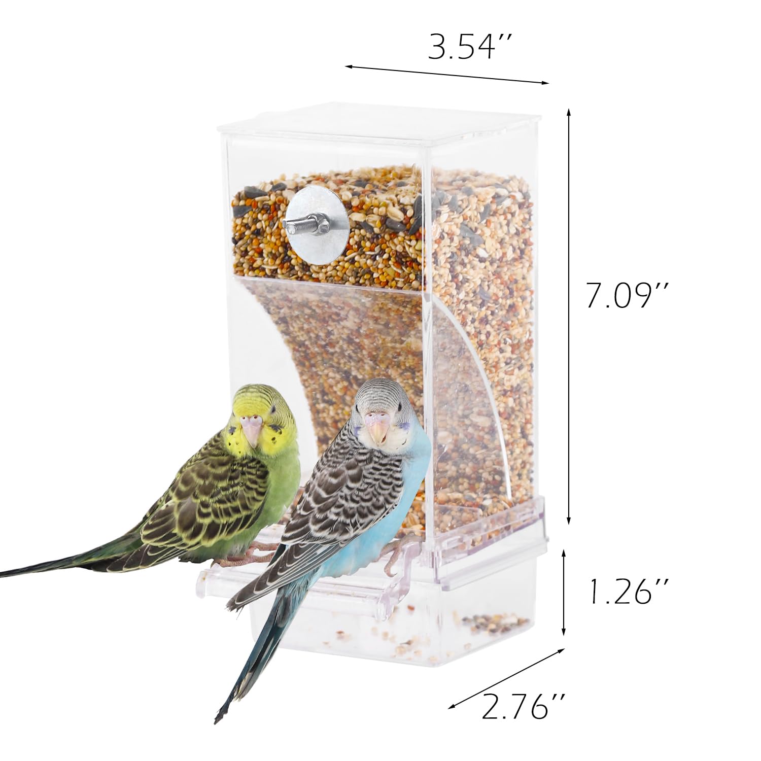 IBWell clear acrylic perch inside view shows easy access during meals