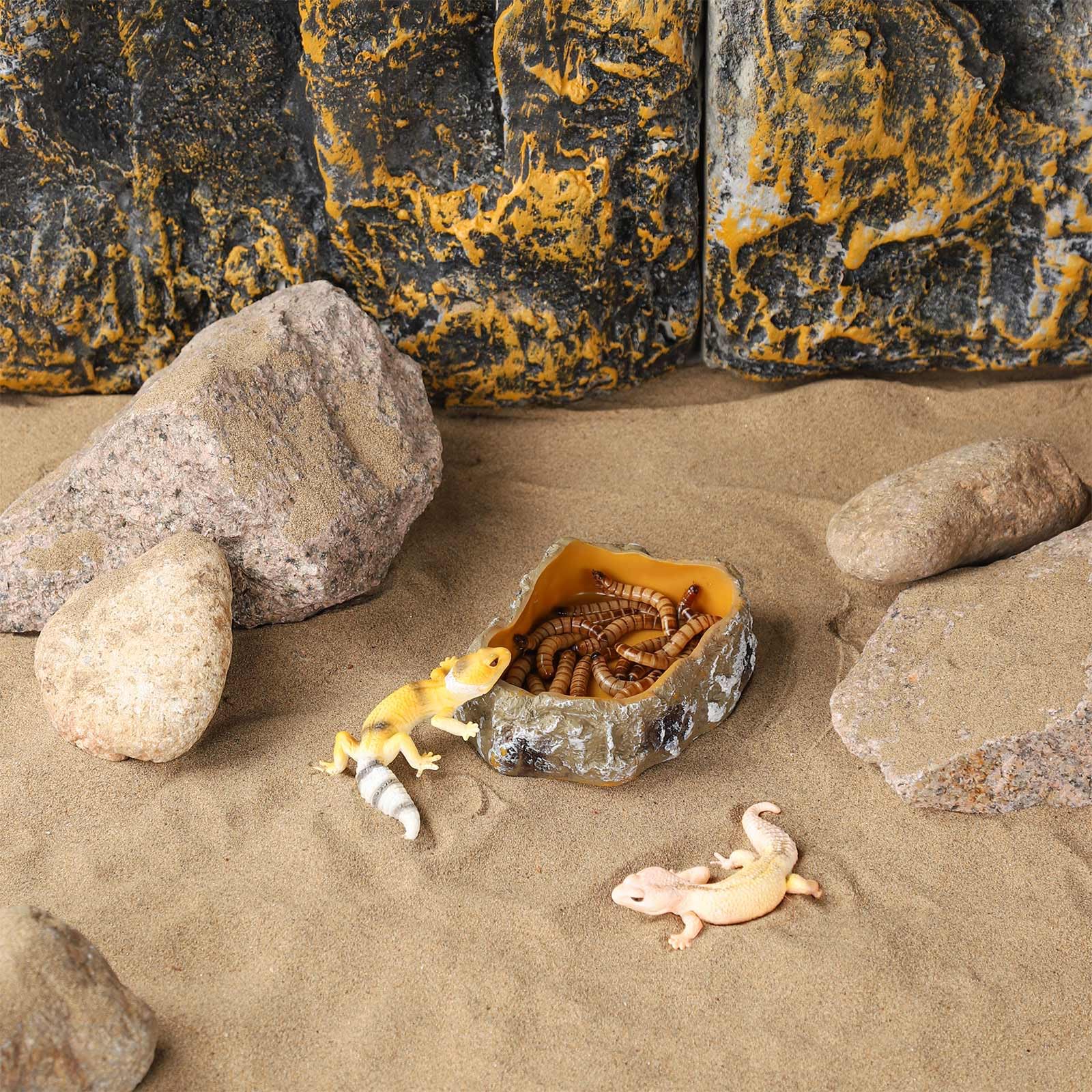 IBWell reptile food dish offers four sizes to fit geckos through larger reptiles