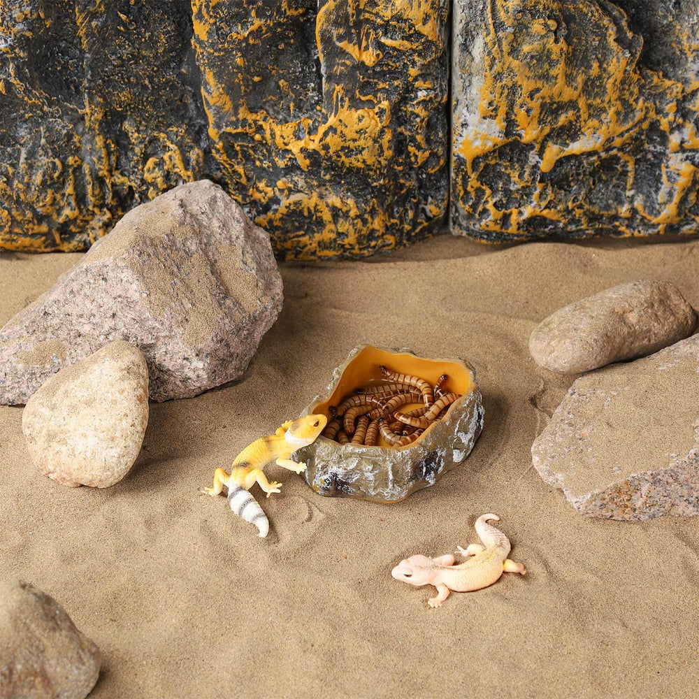 IBWell reptile food dish offers four sizes to fit geckos through larger reptiles
