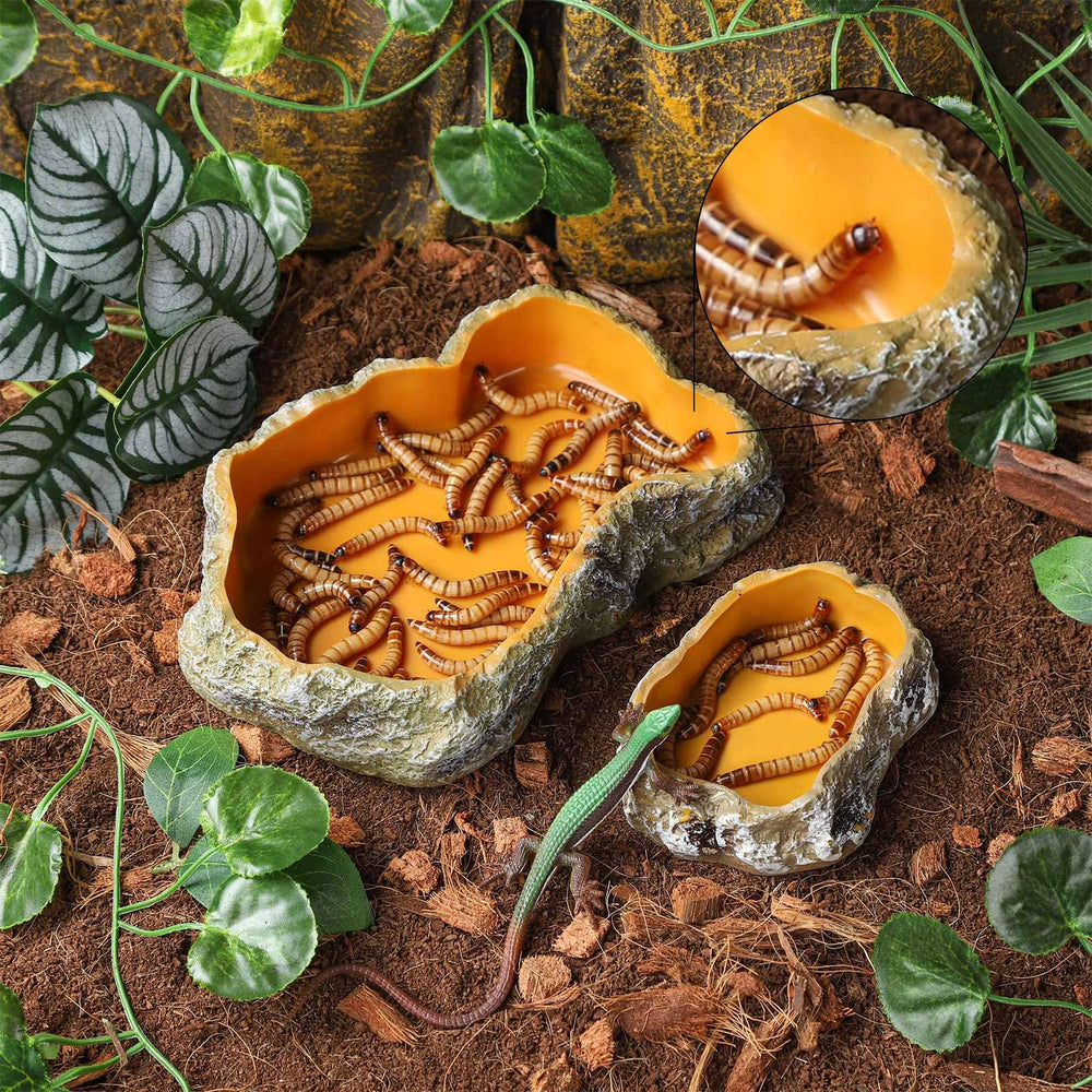 IBWell resin bowl is sturdy and safe for daily reptile feeding tasks
