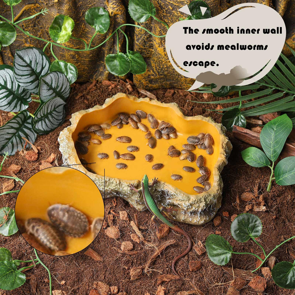 IBWell reptile dish with smooth inner wall simplifies cleaning after feeding