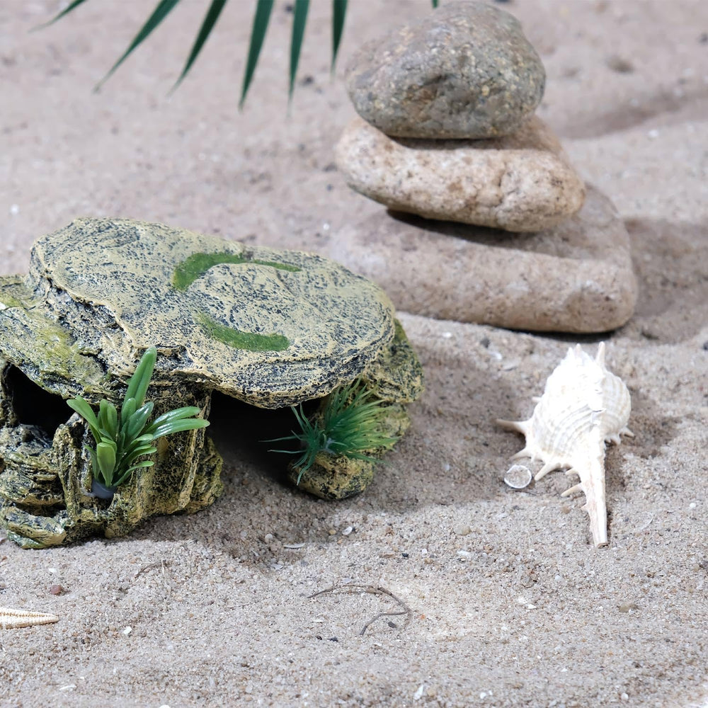 IBWell Reptile Habitat Decor demonstrates versatile setup for small reptiles.