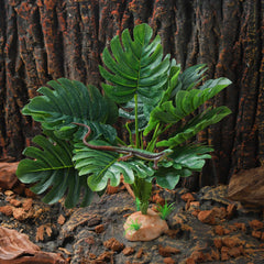 IBWell Reptile Plants ball-python terrarium decor offers decorative foliage and shelter for snakes.