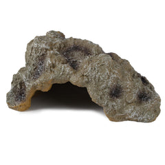 IBWell resin leopard gecko hide rock cave provides secure retreat in terrarium.
