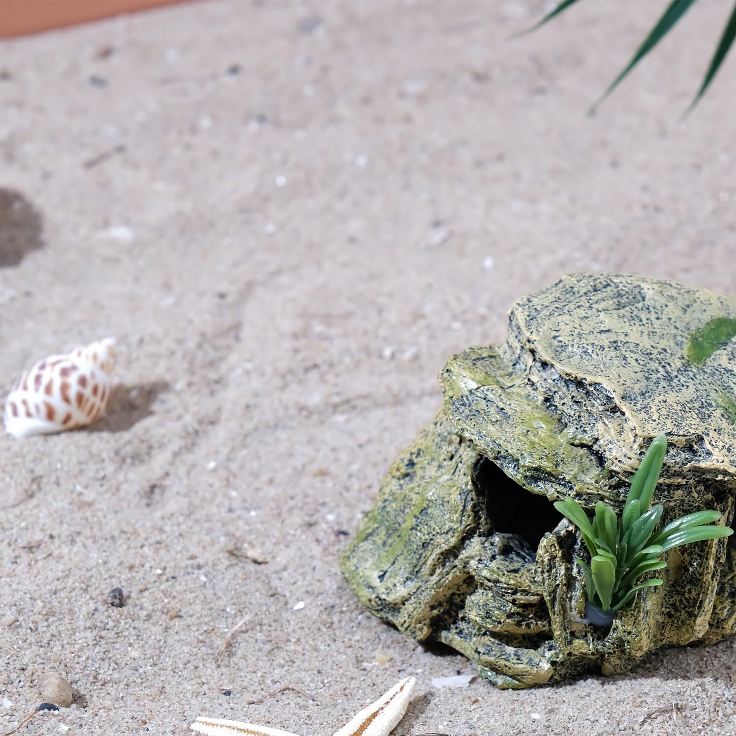 IBWell Turtle Cave Bask Platform offers a resting perch in a terrarium.