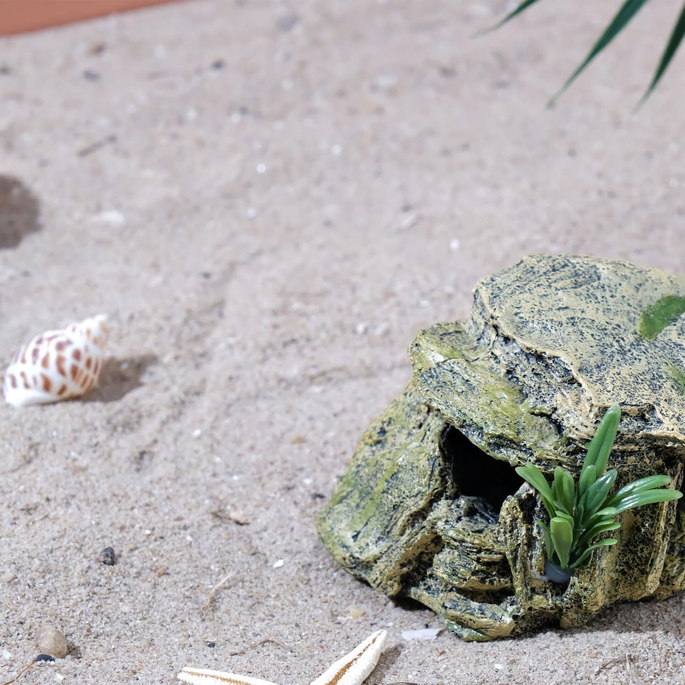 IBWell Turtle Cave Bask Platform offers a resting perch in a terrarium.