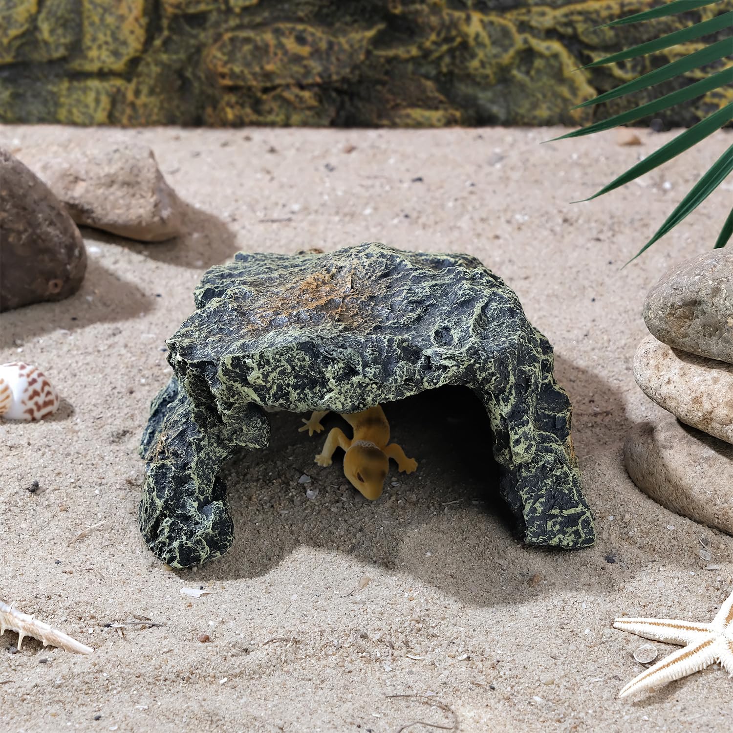 IBWell turtle habitat cave offers a roomy hide for small turtles and lizards.